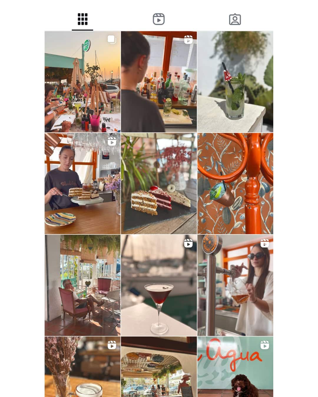 Palo al Agua Redes Sociales Elena Alba and Co